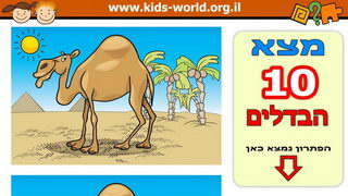 מצא את ההבדלים בין 2 הגמלים