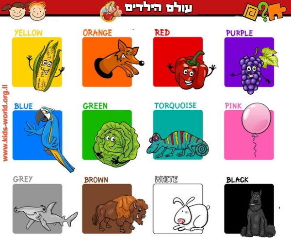 לימוד צבעים באנגלית